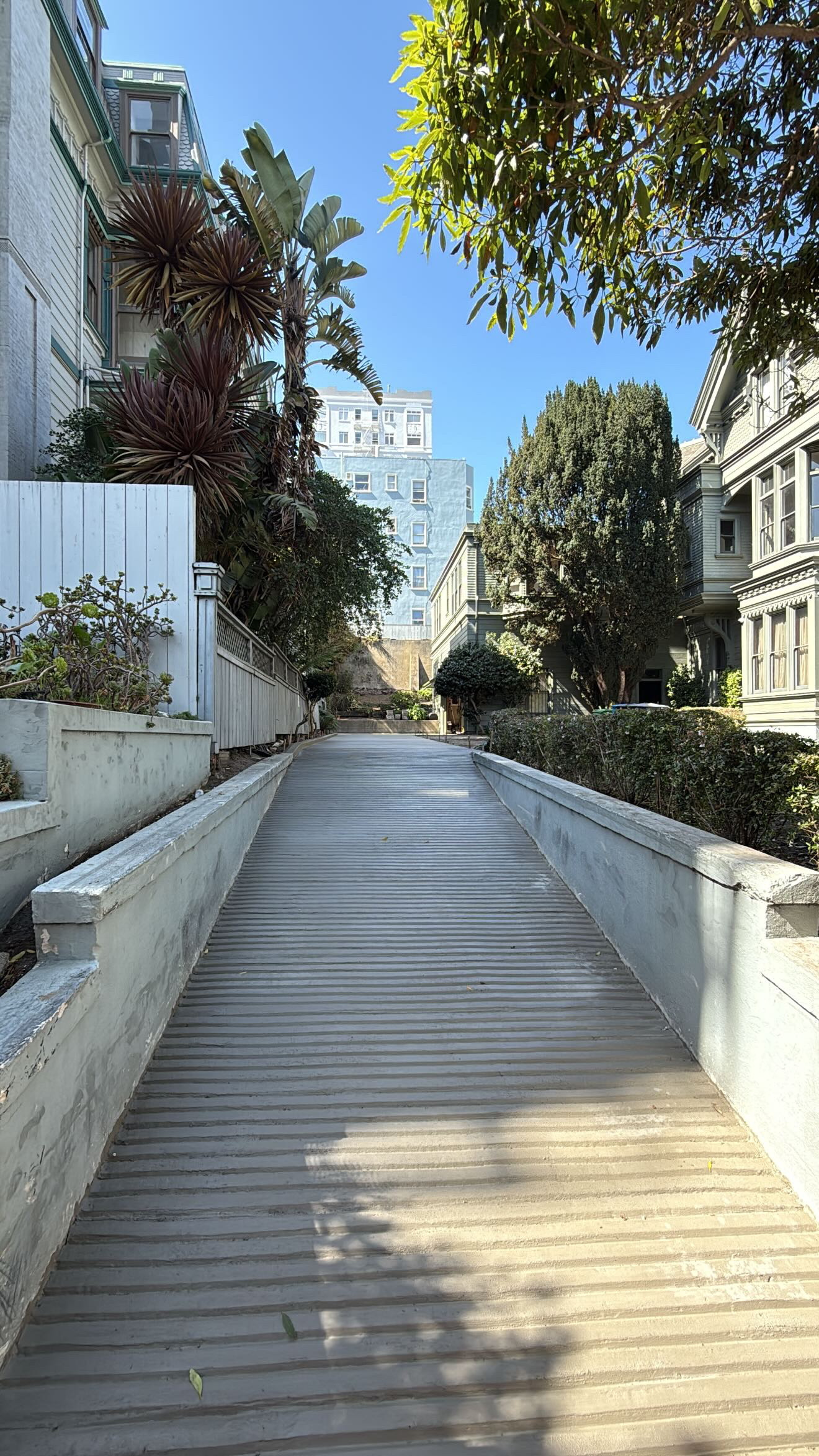 Large residential patio — San Ramon area
